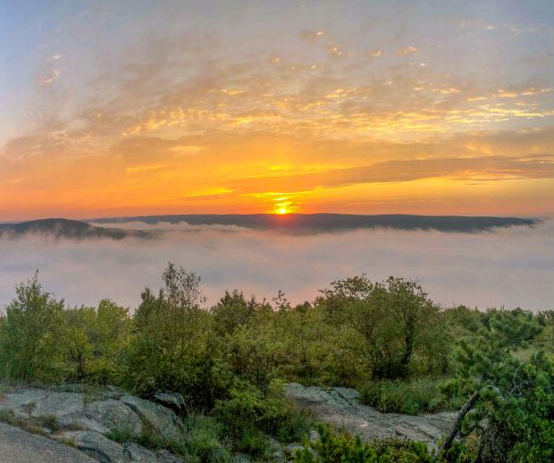 Wyanokie Sunrise at Norvin Green State Forest. Photo by Heather Darley.
