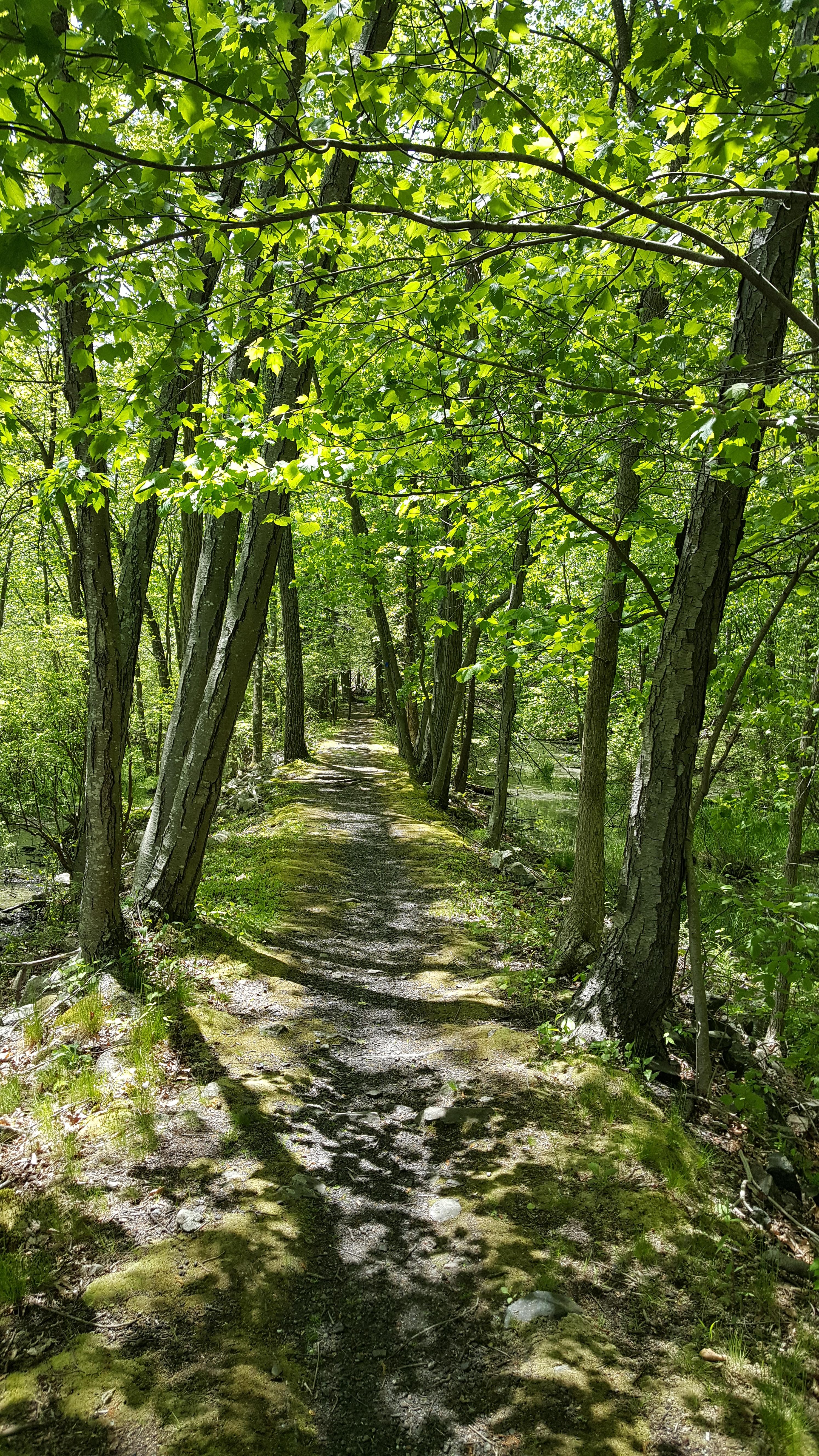 Lake Trail Sterling Forest