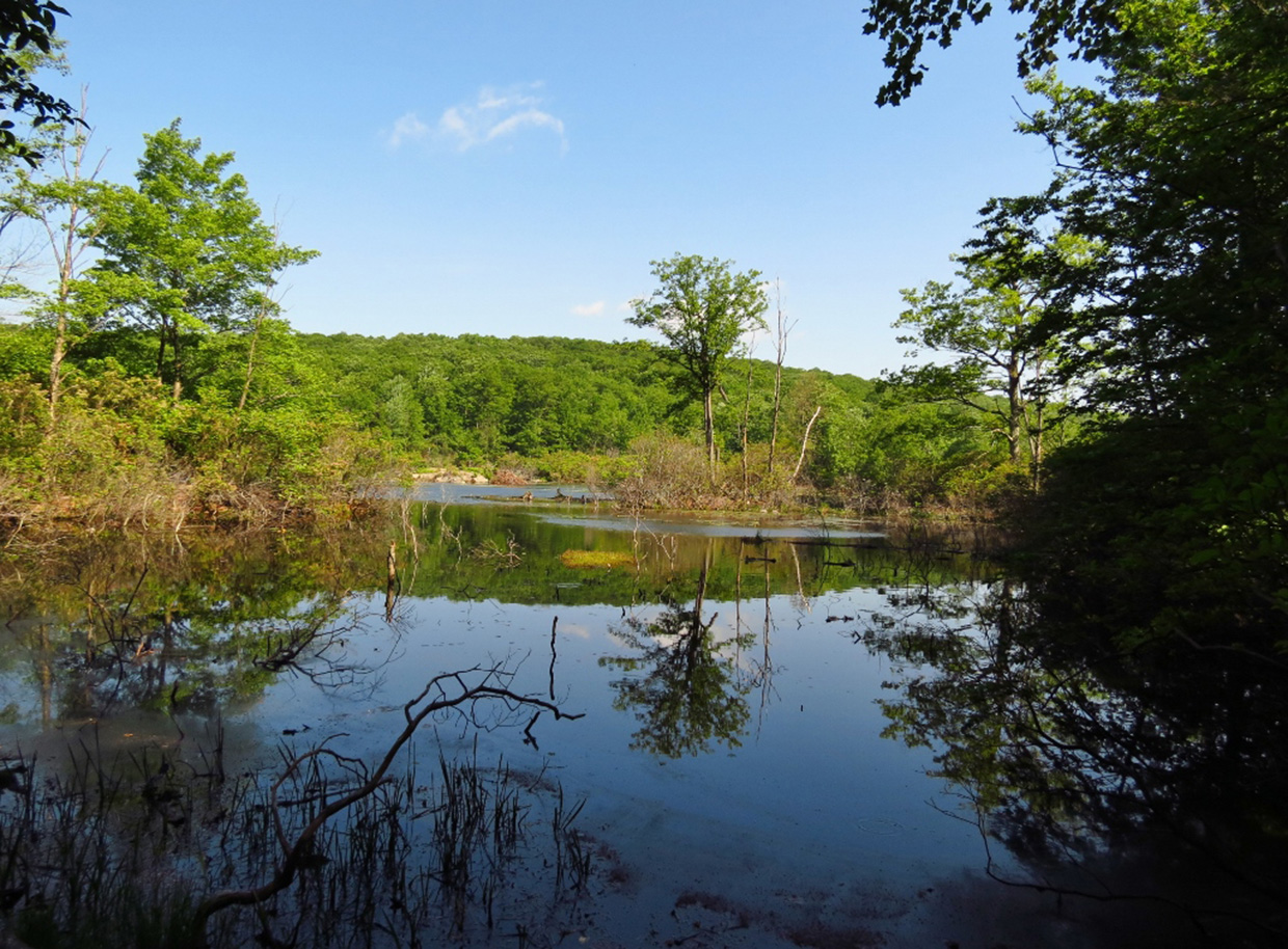 View of Hidden Lake from the Three Lakes Trail - Photo credit: Daniela Wagstaff