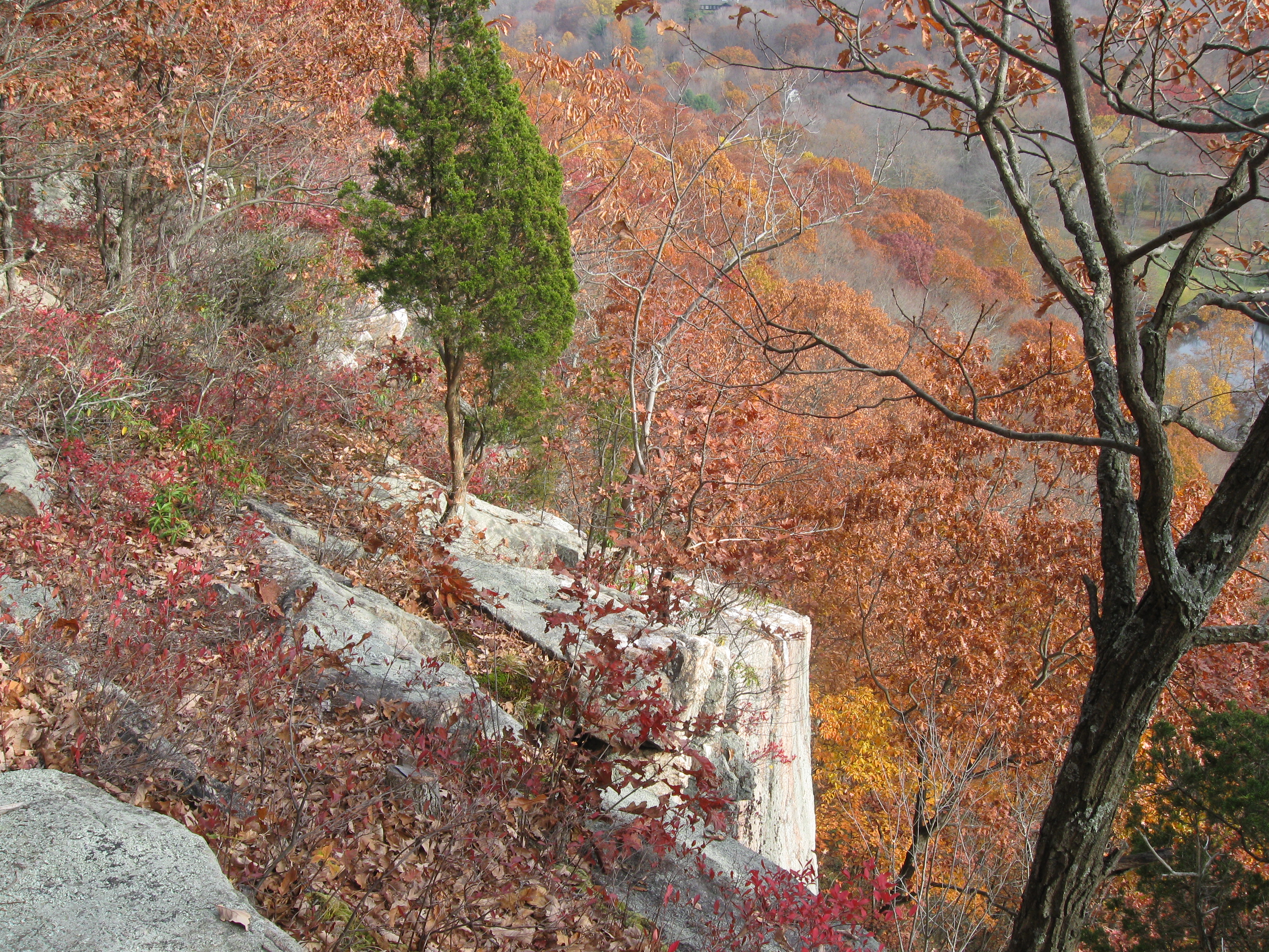 Raven Rocks at Ward Pound Ridge Reservation - Westchester County