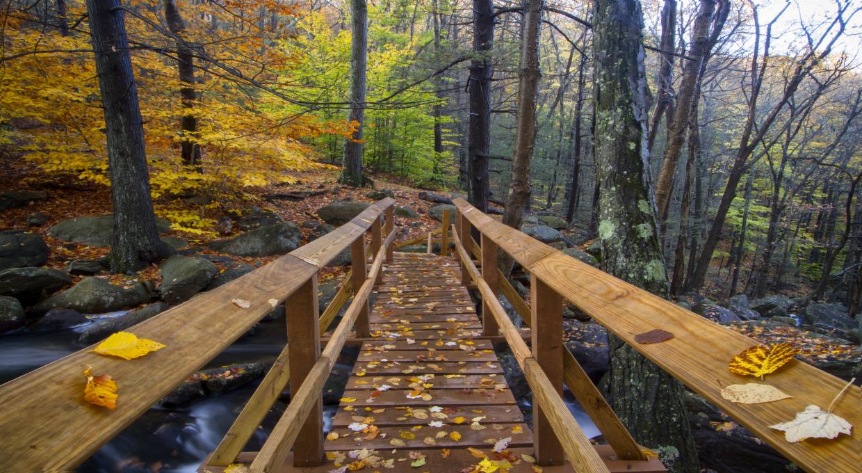 Bridge Walk Over Stony Brook, Harriman State Park - Photo Mike Malandra