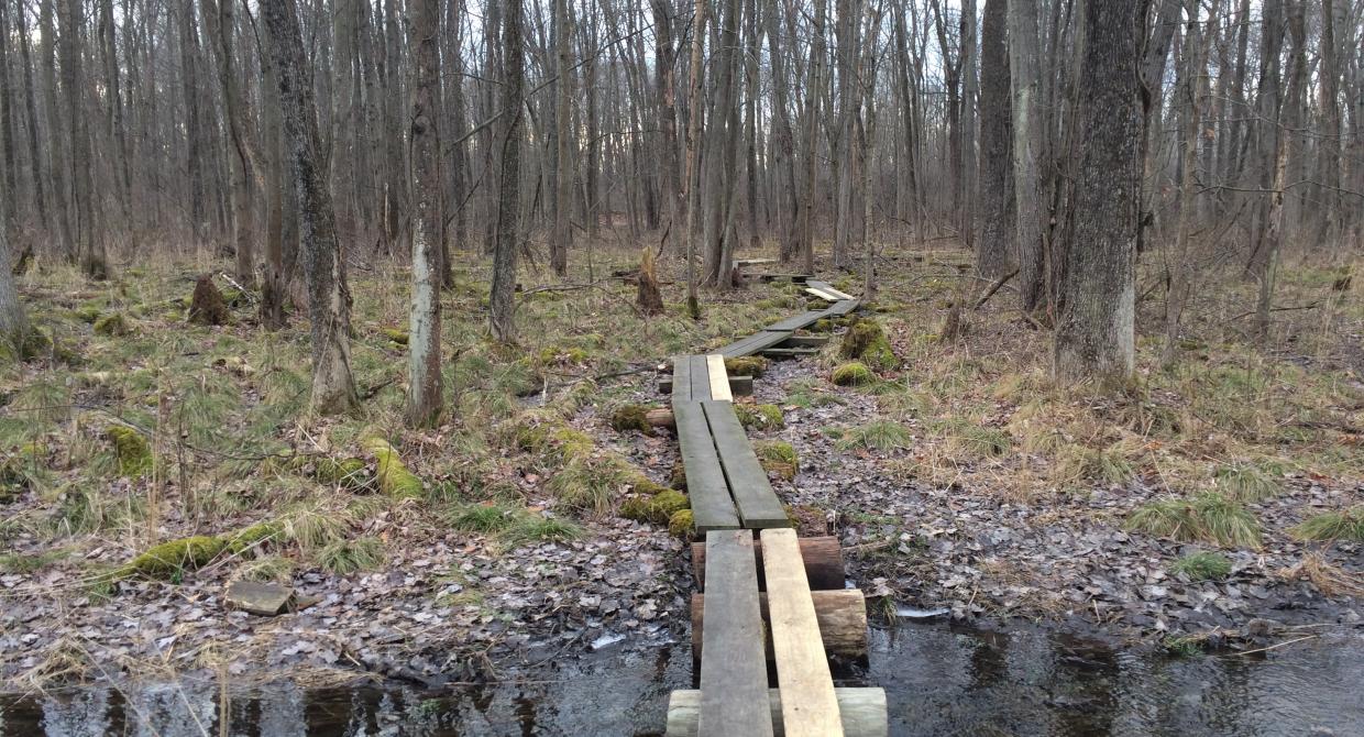 Appalachian Trail puncheon replacement project near Wallkill Wildlife Refuge.