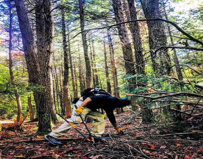 Andre Nizzari maintaining trails in the Catskill's Platte Clove Preserve.