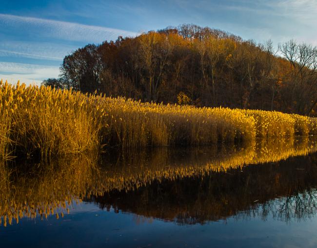 View from the Long Path in Rockland County. Piermont Marsh in Tallman State Park. Photo by Steve Aaron.