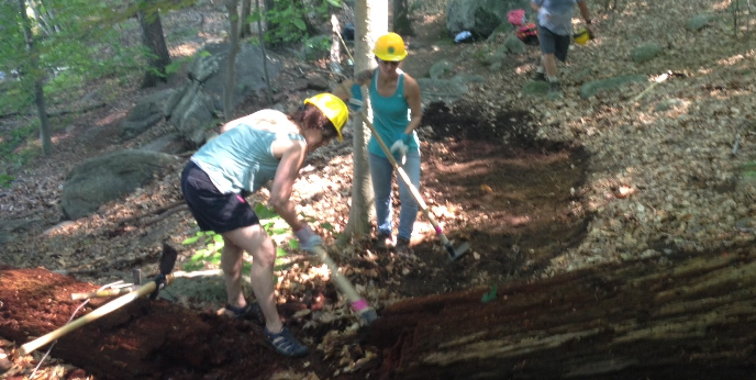 Volunteers cutting sidehill.