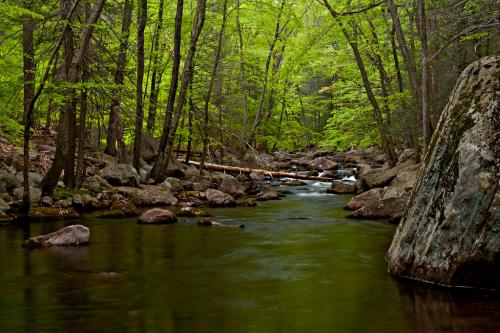 Stony Brook, Harriman SP